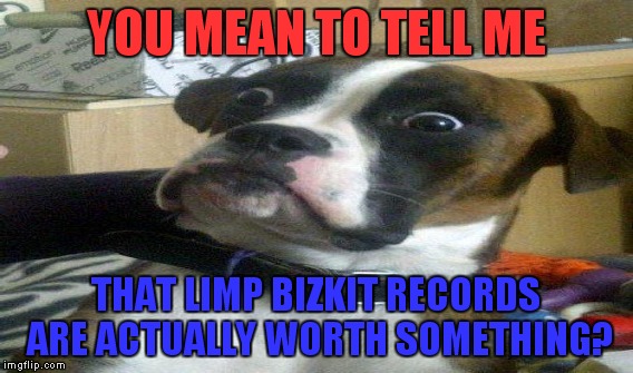 YOU MEAN TO TELL ME THAT LIMP BIZKIT RECORDS ARE ACTUALLY WORTH SOMETHING? | made w/ Imgflip meme maker