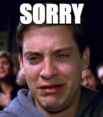 SORRY | SORRY | image tagged in sorry | made w/ Imgflip meme maker