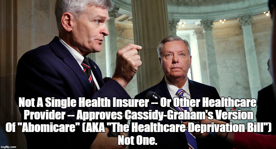 Not A Single Health Insurer -- Or Other Healthcare Provider -- Approves Cassidy-Graham's Version Of "Abomicare" (AKA "The Healthcare Depriva | made w/ Imgflip meme maker