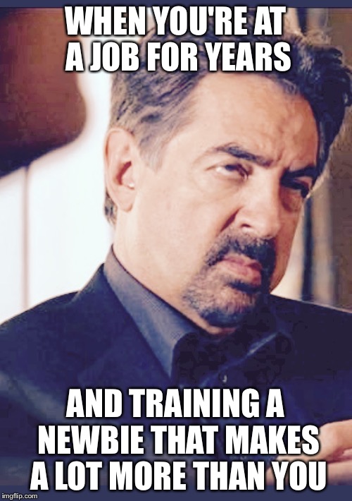 WHEN YOU'RE AT A JOB FOR YEARS; AND TRAINING A NEWBIE THAT MAKES A LOT MORE THAN YOU | image tagged in seriously,why am i doing this,work sucks,i give up | made w/ Imgflip meme maker