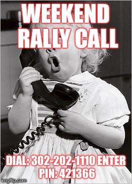 telephone girl | WEEKEND RALLY CALL; DIAL: 302-202-1110
ENTER PIN: 421366 | image tagged in telephone girl | made w/ Imgflip meme maker