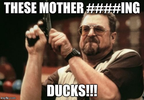 Am I The Only One Around Here Meme | THESE MOTHER ####ING; DUCKS!!! | image tagged in memes,am i the only one around here | made w/ Imgflip meme maker