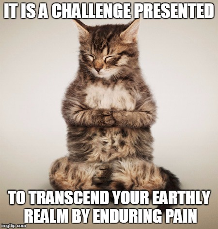 IT IS A CHALLENGE PRESENTED TO TRANSCEND YOUR EARTHLY REALM BY ENDURING PAIN | made w/ Imgflip meme maker