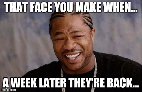 Yo Dawg Heard You | THAT FACE YOU MAKE WHEN... A WEEK LATER THEY'RE BACK... | image tagged in memes,yo dawg heard you | made w/ Imgflip meme maker