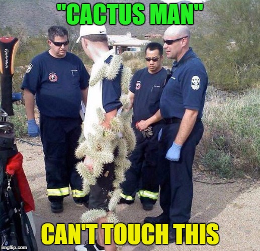 A New Superhero is Here ! | "CACTUS MAN"; CAN'T TOUCH THIS | image tagged in superheroes,sticky situation | made w/ Imgflip meme maker