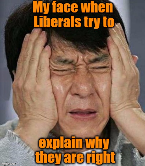 OWWW!  My brain!! | My face when Liberals try to; explain why they are right | image tagged in jackie chan impossibru | made w/ Imgflip meme maker