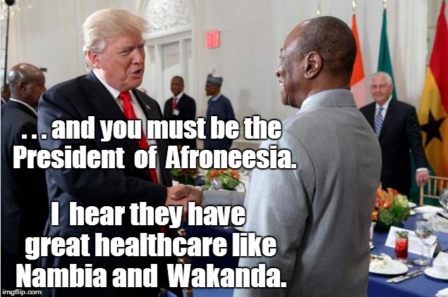 Trump's vast knowledge of Africa | . . . and you must be the President  of  Afroneesia. I  hear they have great healthcare like Nambia and  Wakanda. | image tagged in nambia,namibia,wakanda,president trump,healthcare | made w/ Imgflip meme maker