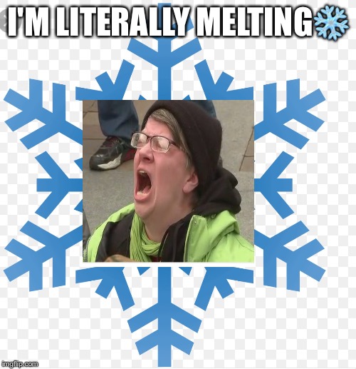 Literallllly | I'M LITERALLY MELTING❄️ | image tagged in snowflakes,words that offend liberals,liberals,politics | made w/ Imgflip meme maker