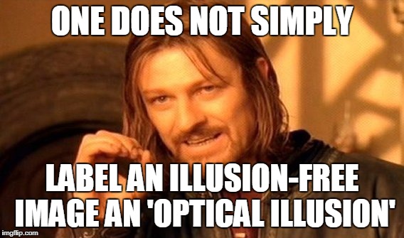 One Does Not Simply Meme | ONE DOES NOT SIMPLY LABEL AN ILLUSION-FREE IMAGE AN 'OPTICAL ILLUSION' | image tagged in memes,one does not simply | made w/ Imgflip meme maker