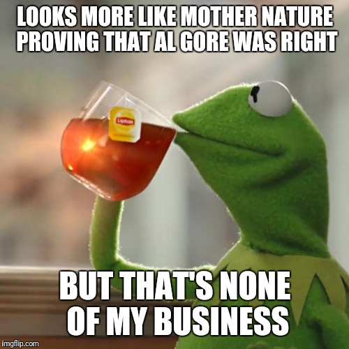 But That's None Of My Business Meme | LOOKS MORE LIKE MOTHER NATURE PROVING THAT AL GORE WAS RIGHT BUT THAT'S NONE OF MY BUSINESS | image tagged in memes,but thats none of my business,kermit the frog | made w/ Imgflip meme maker