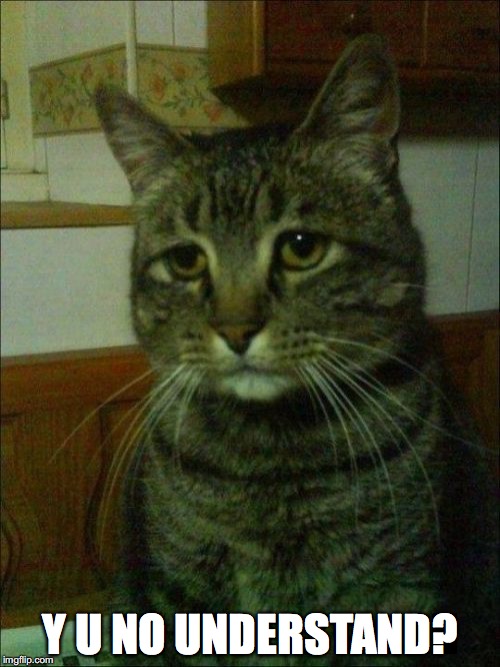 Depressed Cat Meme | Y U NO UNDERSTAND? | image tagged in memes,depressed cat | made w/ Imgflip meme maker