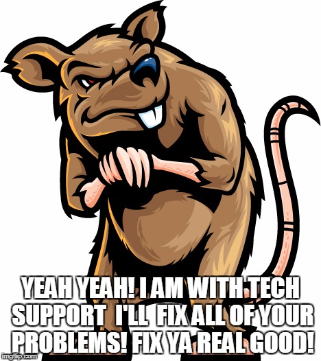 Shady Rat | YEAH YEAH! I AM WITH TECH SUPPORT  I'LL  FIX ALL OF YOUR PROBLEMS! FIX YA REAL GOOD! | image tagged in shady rat | made w/ Imgflip meme maker