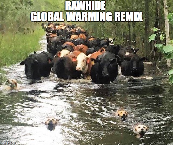 Floods in Florida | RAWHIDE; GLOBAL WARMING REMIX | image tagged in global warming,climate change,rawhide,remix,cattle,dogs | made w/ Imgflip meme maker