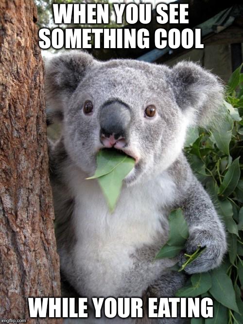 Surprised Koala | WHEN YOU SEE SOMETHING COOL; WHILE YOUR EATING | image tagged in memes,surprised koala | made w/ Imgflip meme maker