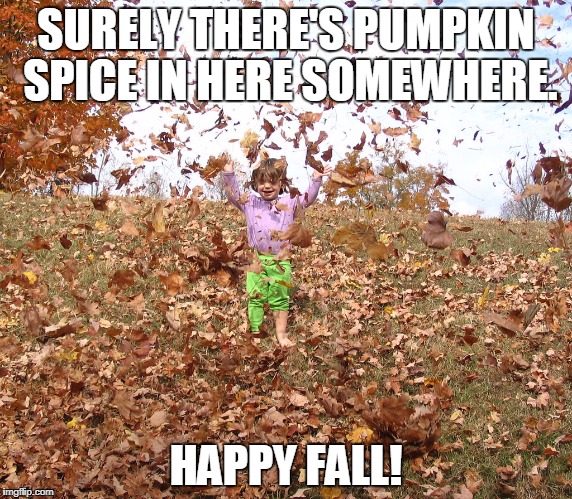 The ongoing search... | SURELY THERE'S PUMPKIN SPICE IN HERE SOMEWHERE. HAPPY FALL! | image tagged in fall | made w/ Imgflip meme maker