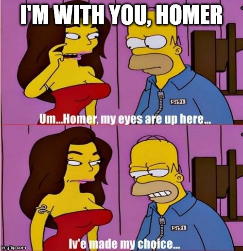I'M WITH YOU, HOMER | image tagged in homer simpson | made w/ Imgflip meme maker