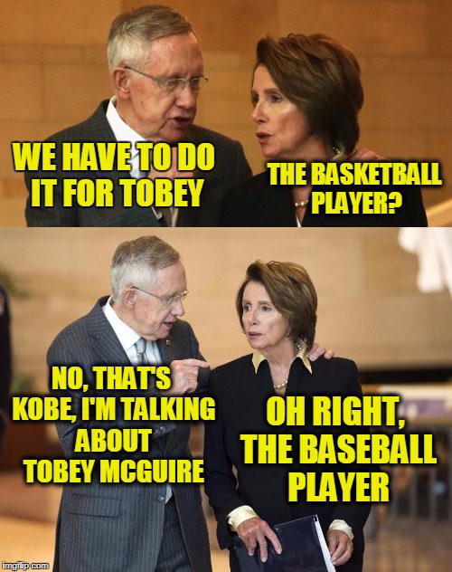 WE HAVE TO DO IT FOR TOBEY THE BASKETBALL PLAYER? NO, THAT'S KOBE, I'M TALKING ABOUT TOBEY MCGUIRE OH RIGHT, THE BASEBALL PLAYER | image tagged in harry and nancy | made w/ Imgflip meme maker