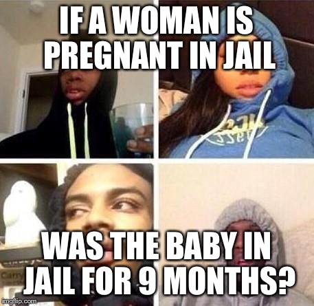 *Hits blunt | IF A WOMAN IS PREGNANT IN JAIL; WAS THE BABY IN JAIL FOR 9 MONTHS? | image tagged in hits blunt | made w/ Imgflip meme maker