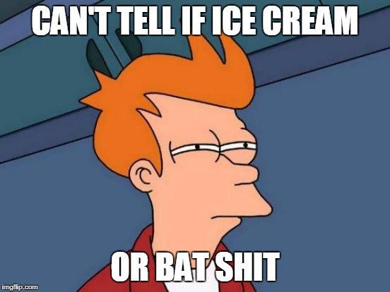 Futurama Fry Meme | CAN'T TELL IF ICE CREAM OR BAT SHIT | image tagged in memes,futurama fry | made w/ Imgflip meme maker