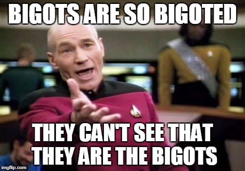 Picard Wtf | BIGOTS ARE SO BIGOTED; THEY CAN'T SEE THAT THEY ARE THE BIGOTS | image tagged in memes,picard wtf | made w/ Imgflip meme maker