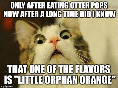Aaaaaaaaaaa | ONLY AFTER EATING OTTER POPS NOW AFTER A LONG TIME DID I KNOW; THAT ONE OF THE FLAVORS IS "LITTLE ORPHAN ORANGE" | image tagged in wtf cat,memes,otter pops,orphan,orange | made w/ Imgflip meme maker