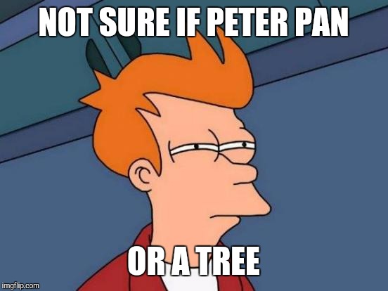 Futurama Fry Meme | NOT SURE IF PETER PAN OR A TREE | image tagged in memes,futurama fry | made w/ Imgflip meme maker