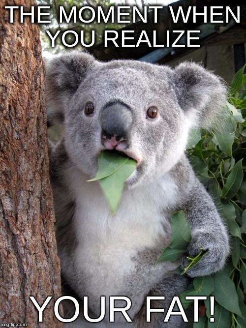 Surprised Koala Meme | THE MOMENT WHEN YOU REALIZE; YOUR FAT! | image tagged in memes,surprised koala | made w/ Imgflip meme maker