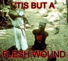 'TIS BUT A FLESH WOUND | made w/ Imgflip meme maker