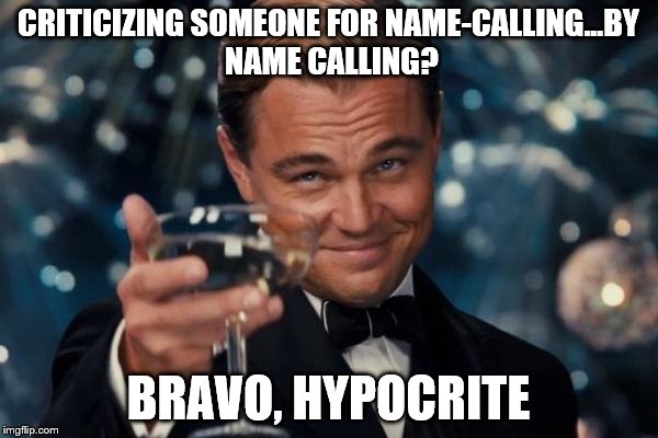 Leonardo Dicaprio Cheers Meme | CRITICIZING SOMEONE FOR NAME-CALLING...BY NAME CALLING? BRAVO, HYPOCRITE | image tagged in memes,leonardo dicaprio cheers | made w/ Imgflip meme maker
