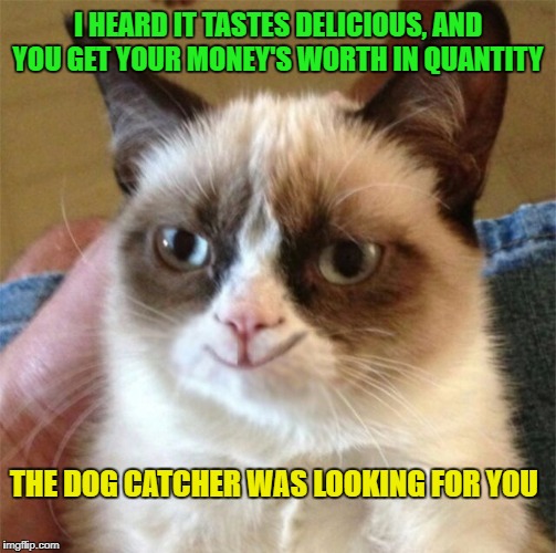 THE DOG CATCHER WAS LOOKING FOR YOU I HEARD IT TASTES DELICIOUS, AND YOU GET YOUR MONEY'S WORTH IN QUANTITY | made w/ Imgflip meme maker