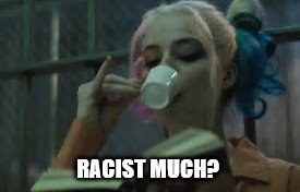 HQINN | RACIST MUCH? | image tagged in harley quinn,racist | made w/ Imgflip meme maker