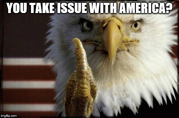 Eagle Middle Finger |  YOU TAKE ISSUE WITH AMERICA? | image tagged in eagle middle finger | made w/ Imgflip meme maker