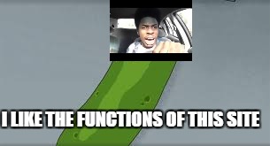  I LIKE THE FUNCTIONS OF THIS SITE | image tagged in pickle rick | made w/ Imgflip meme maker