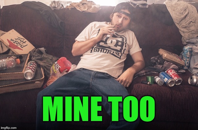 Stoner on couch | MINE TOO | image tagged in stoner on couch | made w/ Imgflip meme maker