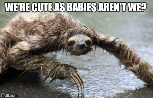 WE'RE CUTE AS BABIES AREN'T WE? | made w/ Imgflip meme maker