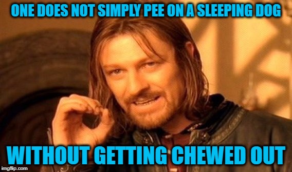 Drunken Words O' Wisdom #1 | ONE DOES NOT SIMPLY PEE ON A SLEEPING DOG; WITHOUT GETTING CHEWED OUT | image tagged in memes,one does not simply,drunken words o' wisdom,drunken wisdom,pee,dog | made w/ Imgflip meme maker