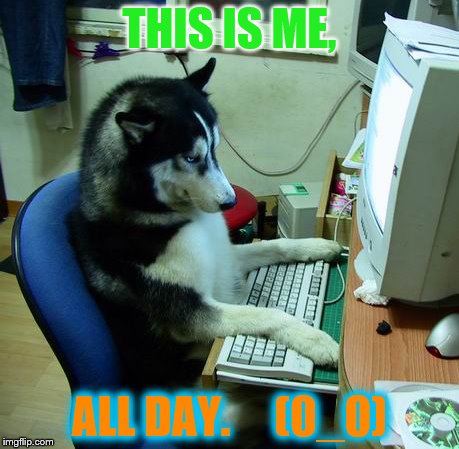 I Have No Idea What I Am Doing | THIS IS ME, ALL DAY.     (0_0) | image tagged in memes,i have no idea what i am doing | made w/ Imgflip meme maker