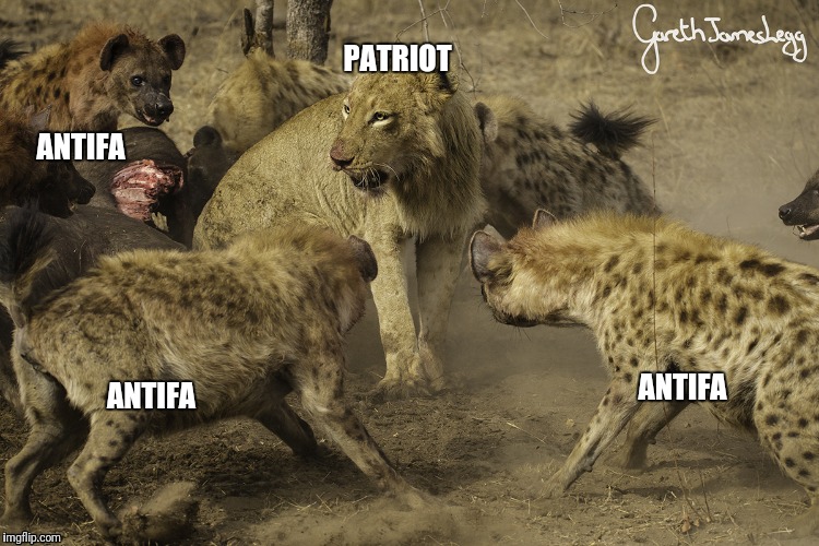 Antifa cowards | PATRIOT; ANTIFA; ANTIFA; ANTIFA | image tagged in memes | made w/ Imgflip meme maker