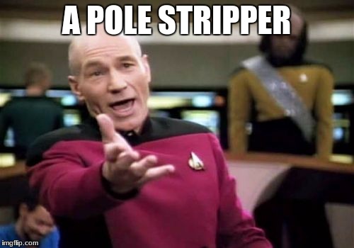 Picard Wtf Meme | A POLE STRIPPER | image tagged in memes,picard wtf | made w/ Imgflip meme maker