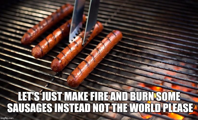 LET'S JUST MAKE FIRE AND BURN SOME SAUSAGES INSTEAD NOT THE WORLD PLEASE | image tagged in sausages | made w/ Imgflip meme maker