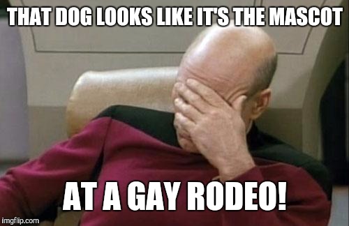 Captain Picard Facepalm Meme | THAT DOG LOOKS LIKE IT'S THE MASCOT AT A GAY RODEO! | image tagged in memes,captain picard facepalm | made w/ Imgflip meme maker