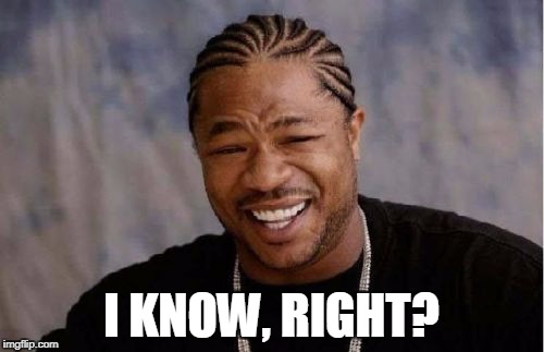 Yo Dawg Heard You Meme | I KNOW, RIGHT? | image tagged in memes,yo dawg heard you | made w/ Imgflip meme maker