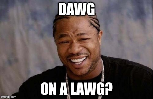 Yo Dawg Heard You Meme | DAWG ON A LAWG? | image tagged in memes,yo dawg heard you | made w/ Imgflip meme maker