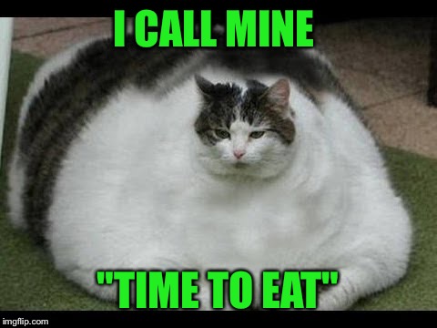 I CALL MINE "TIME TO EAT" | made w/ Imgflip meme maker
