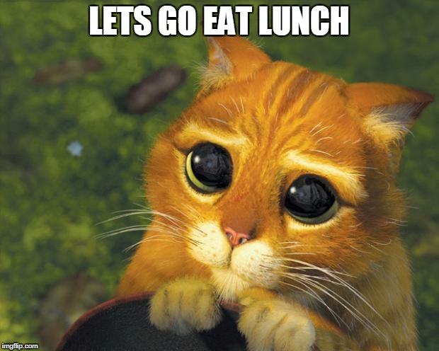 puss in boots | LETS GO EAT LUNCH | image tagged in puss in boots | made w/ Imgflip meme maker