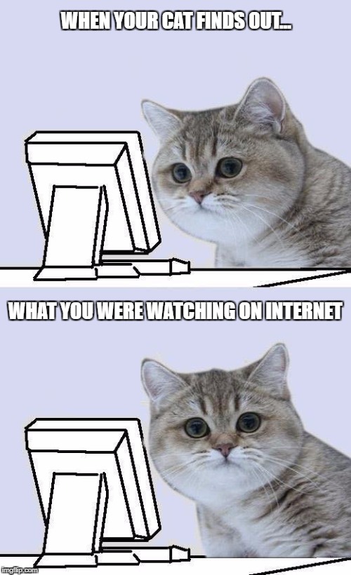 When your cat finds out what you were watching on the Internet. | WHEN YOUR CAT FINDS OUT... WHAT YOU WERE WATCHING ON INTERNET | image tagged in internet cat | made w/ Imgflip meme maker