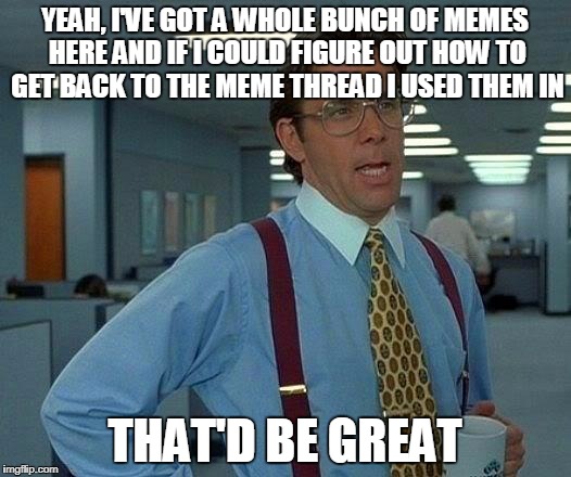 That Would Be Great | YEAH, I'VE GOT A WHOLE BUNCH OF MEMES HERE AND IF I COULD FIGURE OUT HOW TO GET BACK TO THE MEME THREAD I USED THEM IN; THAT'D BE GREAT | image tagged in memes,that would be great | made w/ Imgflip meme maker