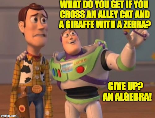 X, X Everywhere Meme | WHAT DO YOU GET IF YOU CROSS AN ALLEY CAT AND A GIRAFFE WITH A ZEBRA? GIVE UP?  AN ALGEBRA! | image tagged in memes,x x everywhere | made w/ Imgflip meme maker