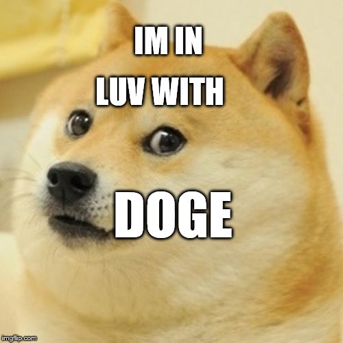 Doge Meme | IM IN; LUV WITH; DOGE | image tagged in memes,doge | made w/ Imgflip meme maker