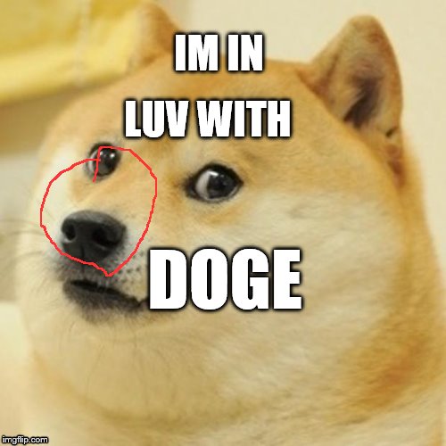 Doge Meme | IM IN; LUV WITH; DOGE | image tagged in memes,doge | made w/ Imgflip meme maker